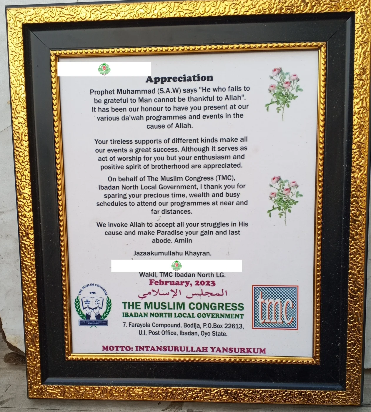 Certificate & Award Frames — sample photo 5